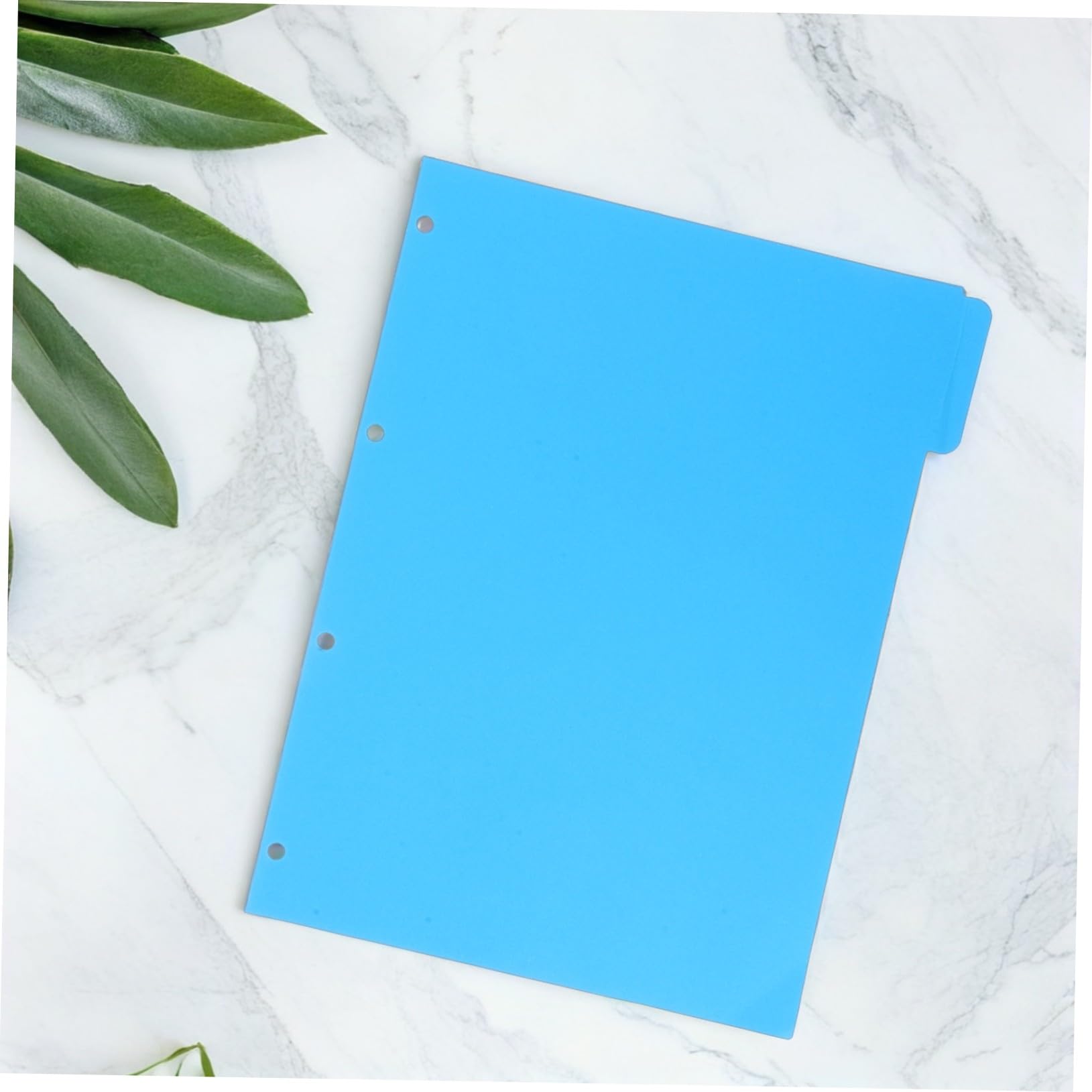 Divisori per Raccoglitori Colorati, 10 Set, Carta, Pagine
