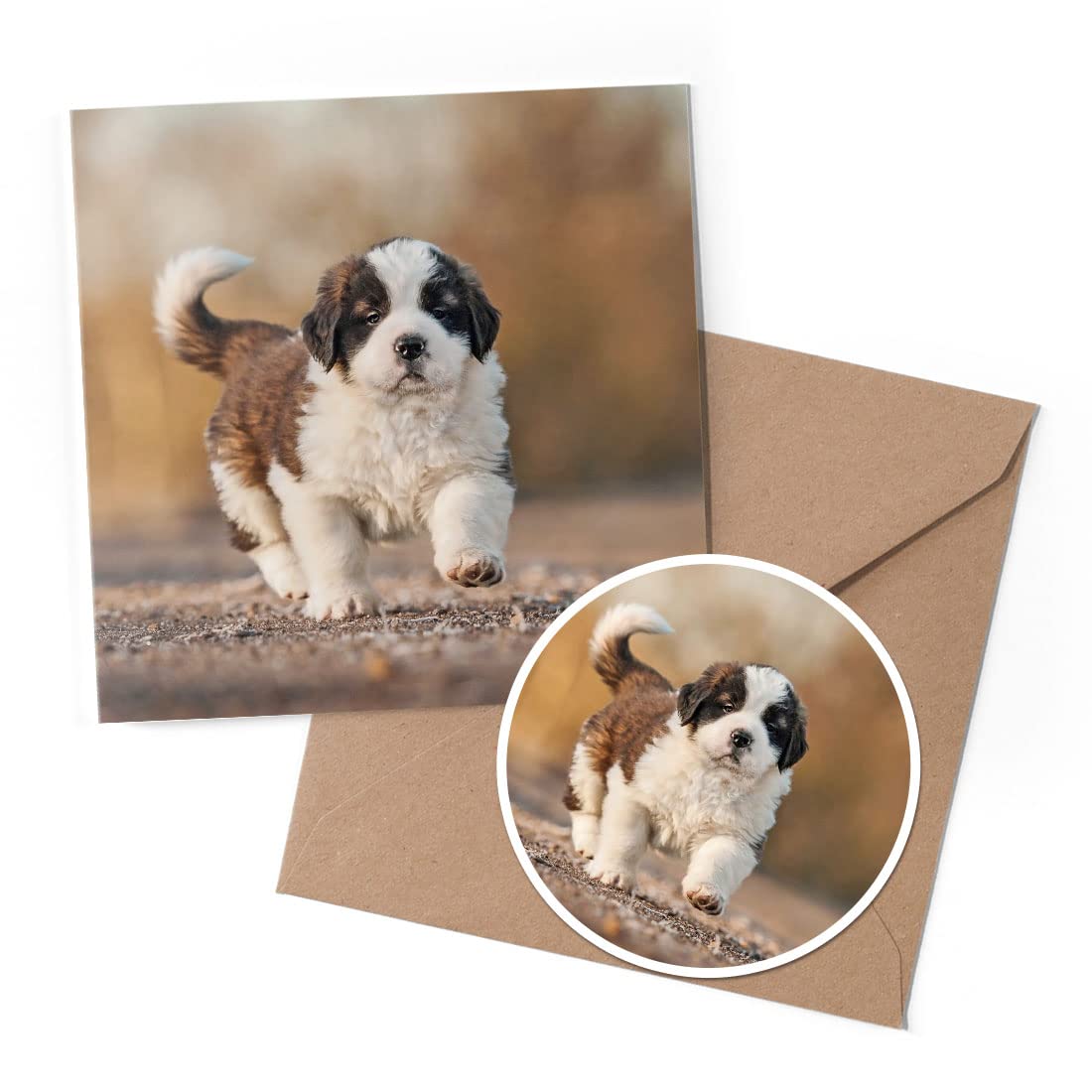 1 x Greeting Card & 10 cm Round Sticker Set - Saint Bernard Dog Puppy - Birthday Thank You Friend Lover Fan Mum Dad Kids #12671