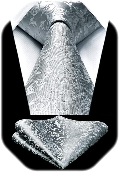 HISDERN Paisley Ties for Men Solid Tie Handkerchief Floral Men's Necktie & Pocket Square Set Wedding Classic Mens Ties