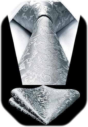 HISDERN Paisley Ties for Men Solid Tie Handkerchief Floral Mens Necktie & Pocket Square Set Wedding Classic Mens Ties