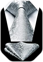 HISDERN Men's Wedding Ties and Pocket Square Set Paisley Tie Jacquard Plain in Various Colours