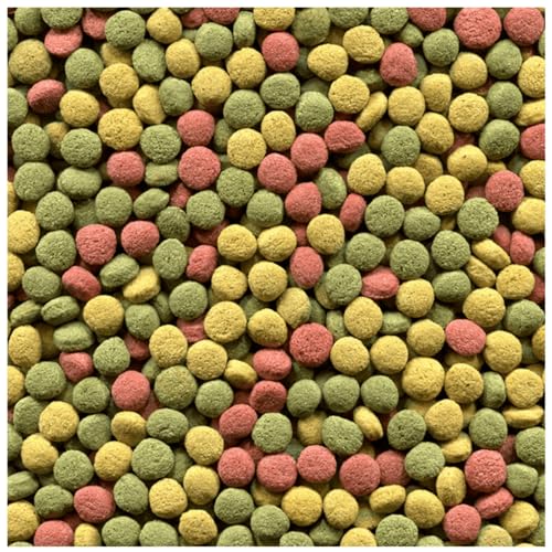 Alimento Alcon para Répteis Jabuti - 300g