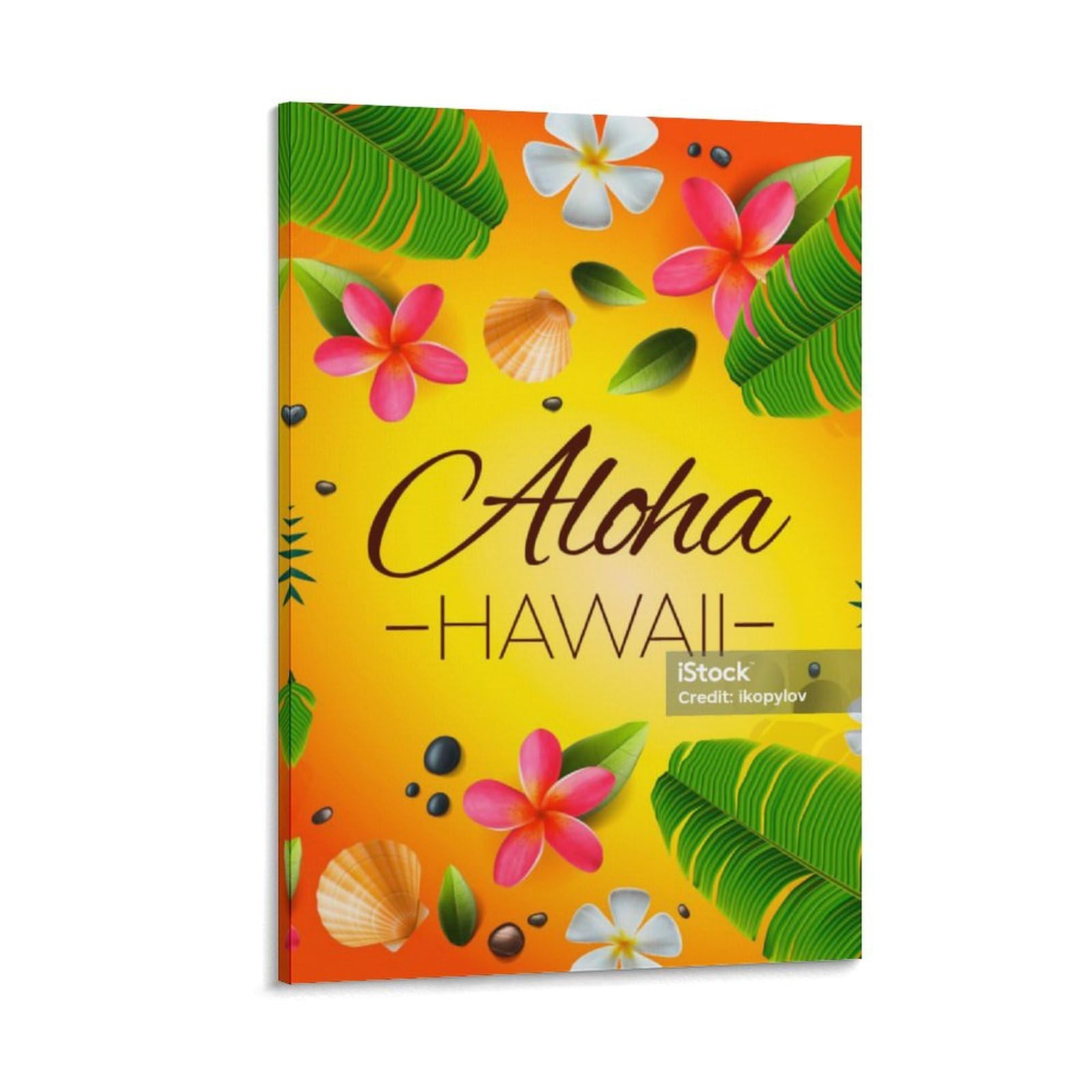 【美品】sho watanabe aloha vwbus グリーンルーム ハワイ 美品】sho watanabe aloha vwbus グリーンルーム ハワイ 美品】sho