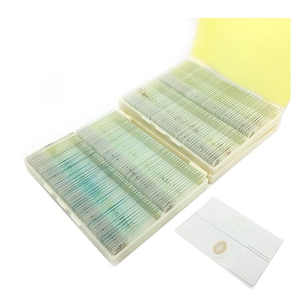 ZTBH Kit de Accesorios para microscopios 200 Piezas preparadas para el microscopio, estudiando Equipo para Estudiantes, Planta de Cristal de Insectos Animales Portaobjetos de microscopio