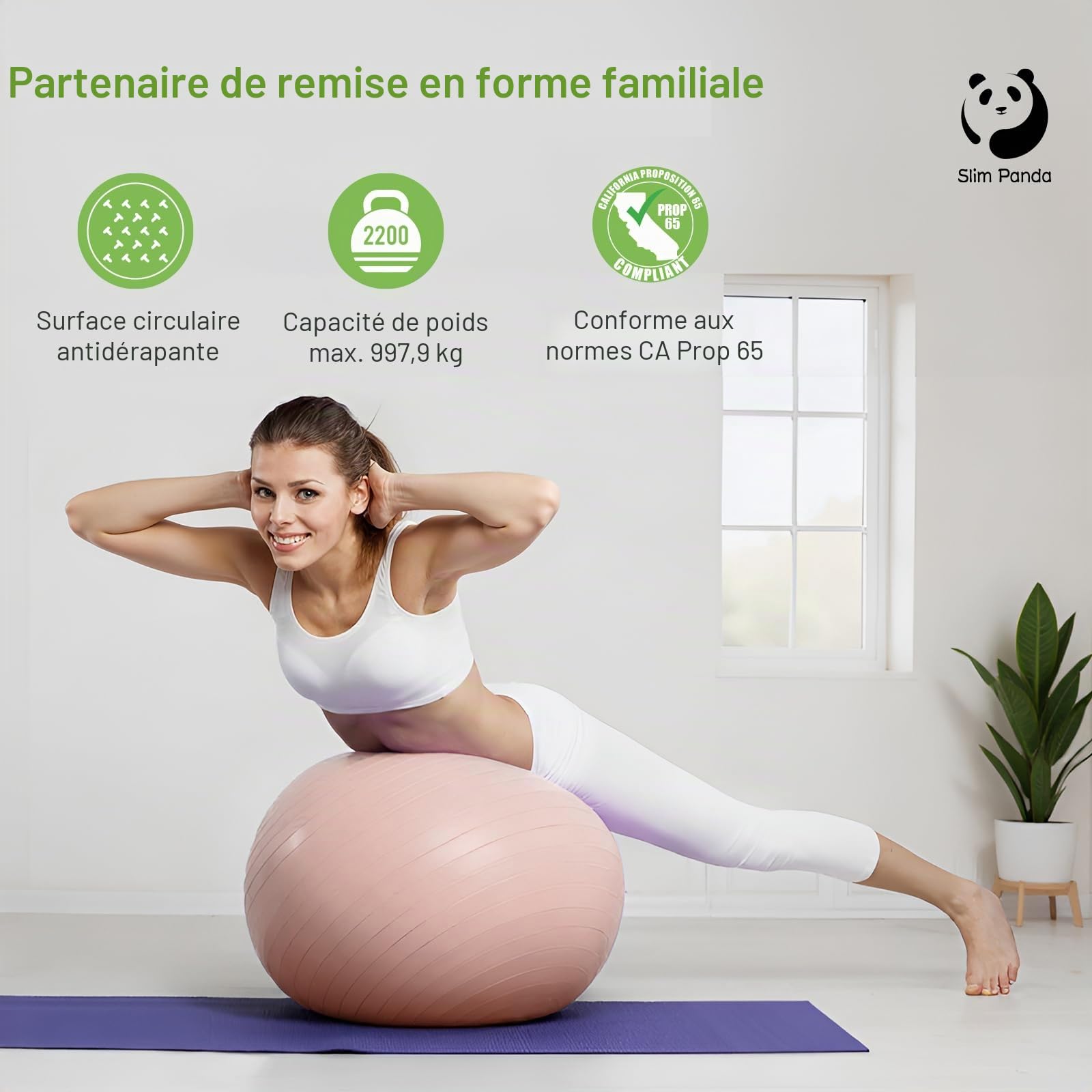 Ballon Pilates Slim Panda 55-85cm Anti-Slip Ballon de Gymnastique avec Paille de Gonflage