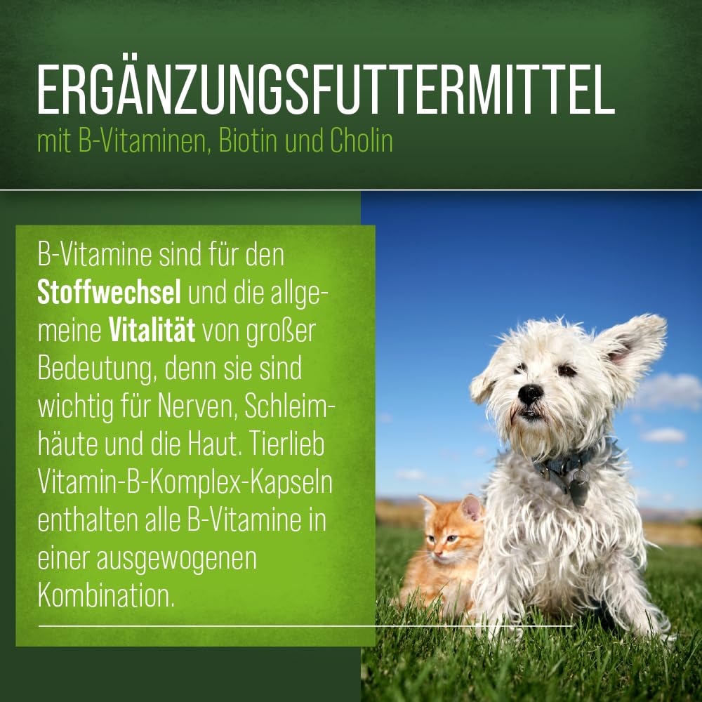 Sanct Bernhard Complesso di vitamina B cani 120 Capsule, 1er Pacco (1 x 50 g)