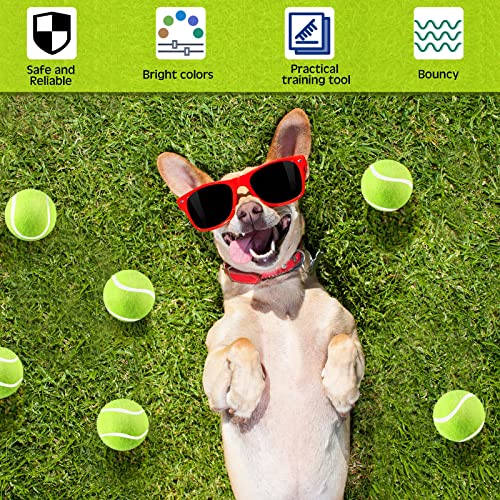 Hanaive-20-Pieces-Dog-Tennis-Balls-2-Inch-Mini-Tennis-Balls-for-Small-Dog-Pet-Fetching-Toy-Rubber-Felt-Training-Toys-for-Puppy-Pet-Playing-Exercise-and-PracticeYellow Hanaive 20 Pieces Dog Tennis Balls 2 Inch Mini Tennis Balls for Small Dog Pet Fetching Toy Rubber Felt Training Toys for Puppy Pet Playing Exercise and PracticeYellow