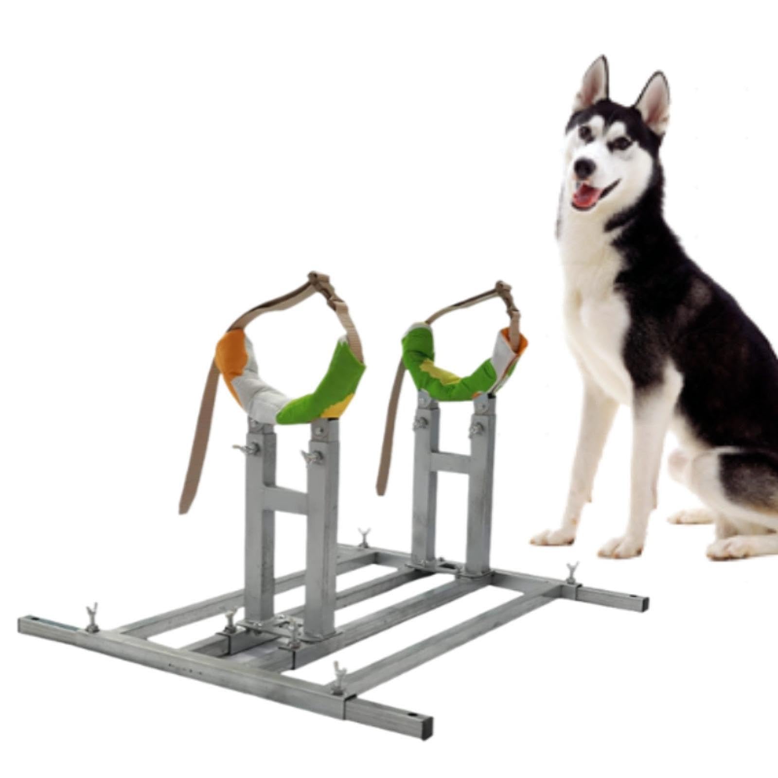 Dog Breeding Stand Pet Fixed Bracket,Adjustable,Breeding Accessories Bathing Supplies Steel Trimming Dog Bathing Station, XL