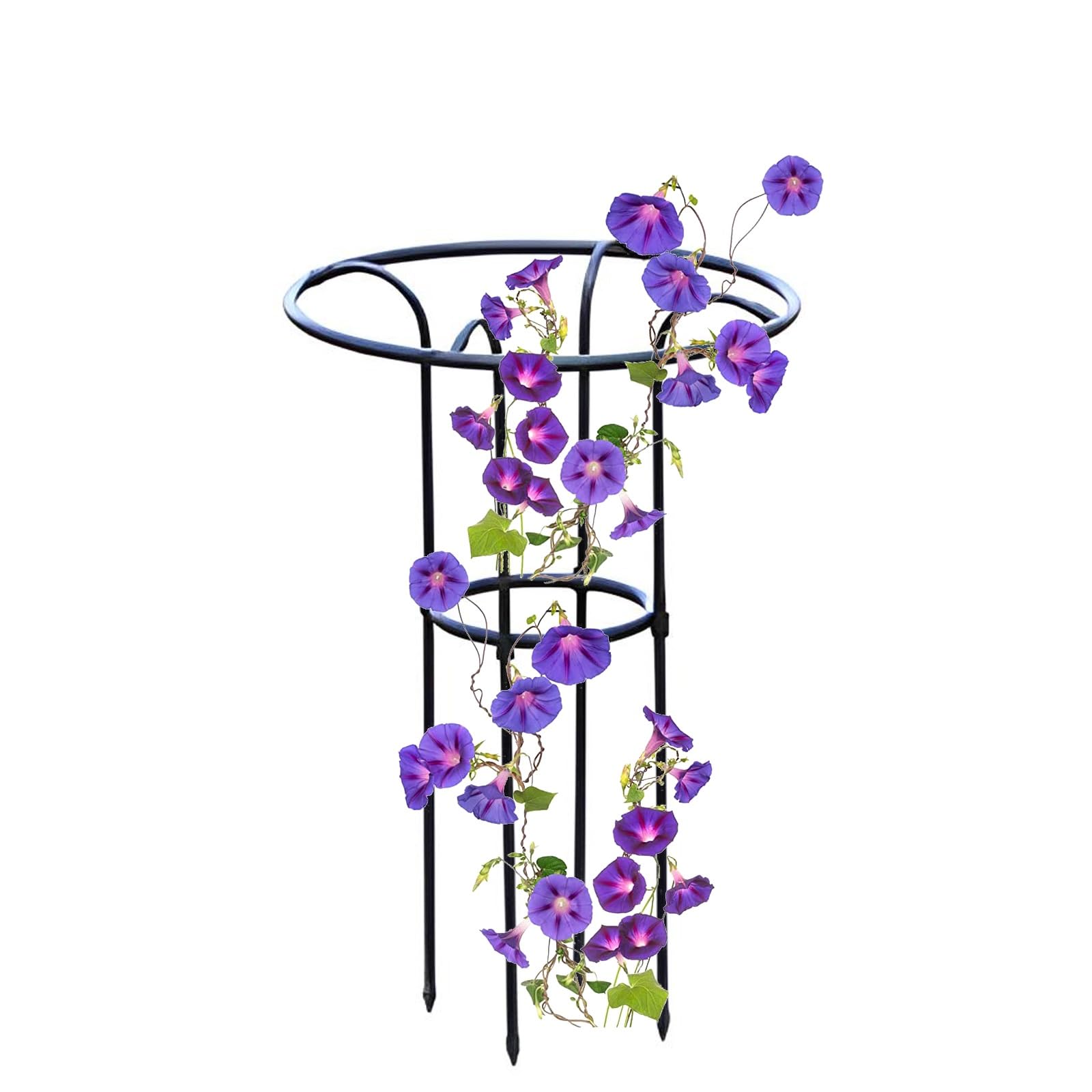 LTSRLL Obélisque De Jardin en Métal 70/100/130/160 Cm Cages Tuteurs Ø 22 Cm Support pour Plantes Grimpantes(70cm/2.3ft)