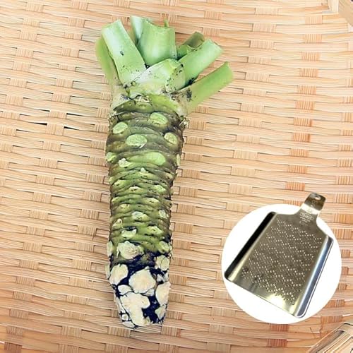 킳э͔|˂̒n L؂̖{킳 (TCY3{ߋgi~jj)