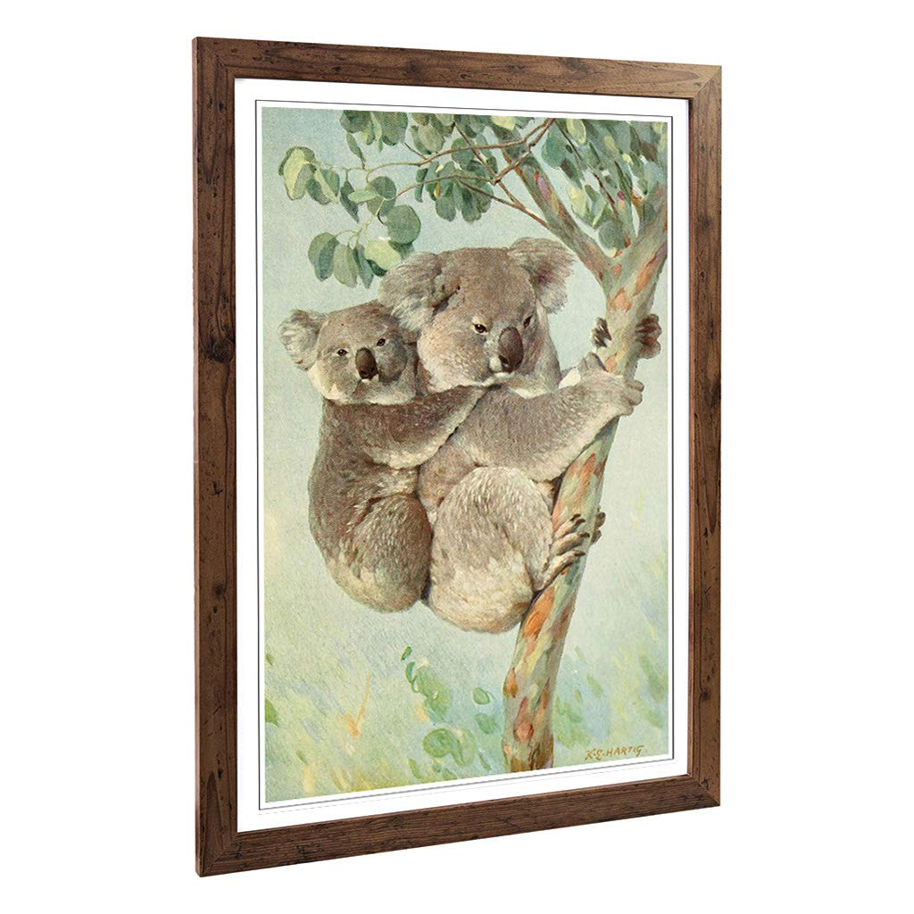 Big Box Art Framed Print of Vintage Karl Ludwig Hartig Koala Design | Wall Art Picture | Home Decor for Kitchen, Living Room, Bedroom, Hallway, Walnut, A2 / 24.5x18 Inch / 62x45cm