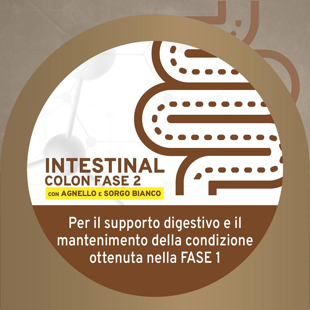 FORZA10 Dog Active Intestinal Colon FASE 2 | Agnello e Sorgo | Alimento Dietetico per Sensibilità Intestinale | Cibo Secco per Cani | Sacco da 10 Kg