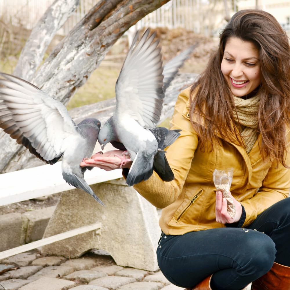 Nourriture Pour Pigeons - 25 Kg - Mélange De Grains à Haute énergie