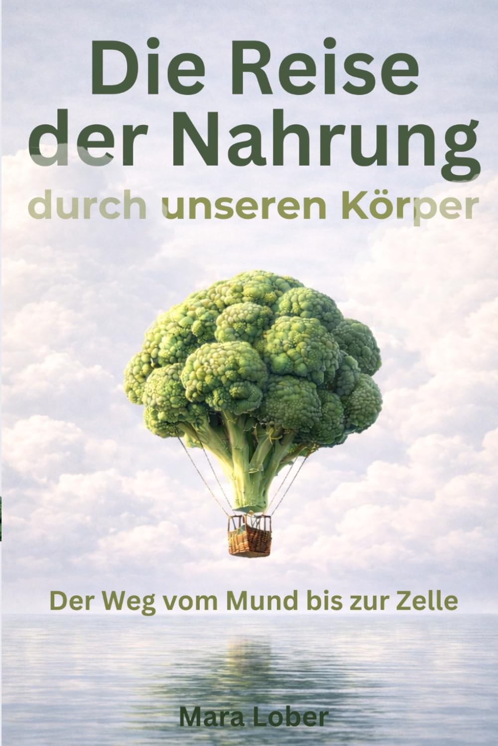 Die Reise der Nahrung durch unseren Körper: Der Weg vom Mund bis zur Zelle