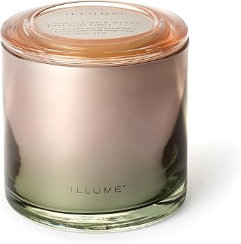 Illume Beautifully Done Essentials Coconut Milk Mango Statement Glass Scented Soy Candle