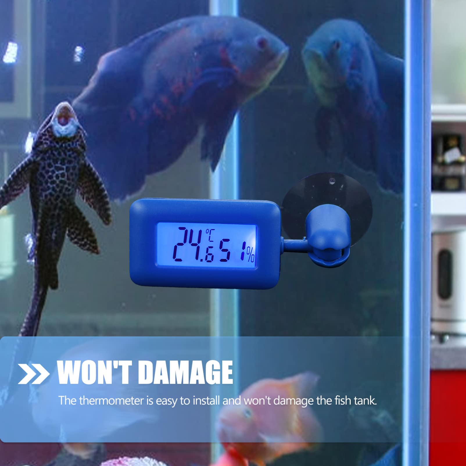Amosfun 4stücke Rotierendes Saugnapf-thermometer Für Reptilien Hygrometer Mit Drehung Digitale Temperaturmessung Für Aquarium Und Terrarium Blauer Farbton Installieren Bedienen