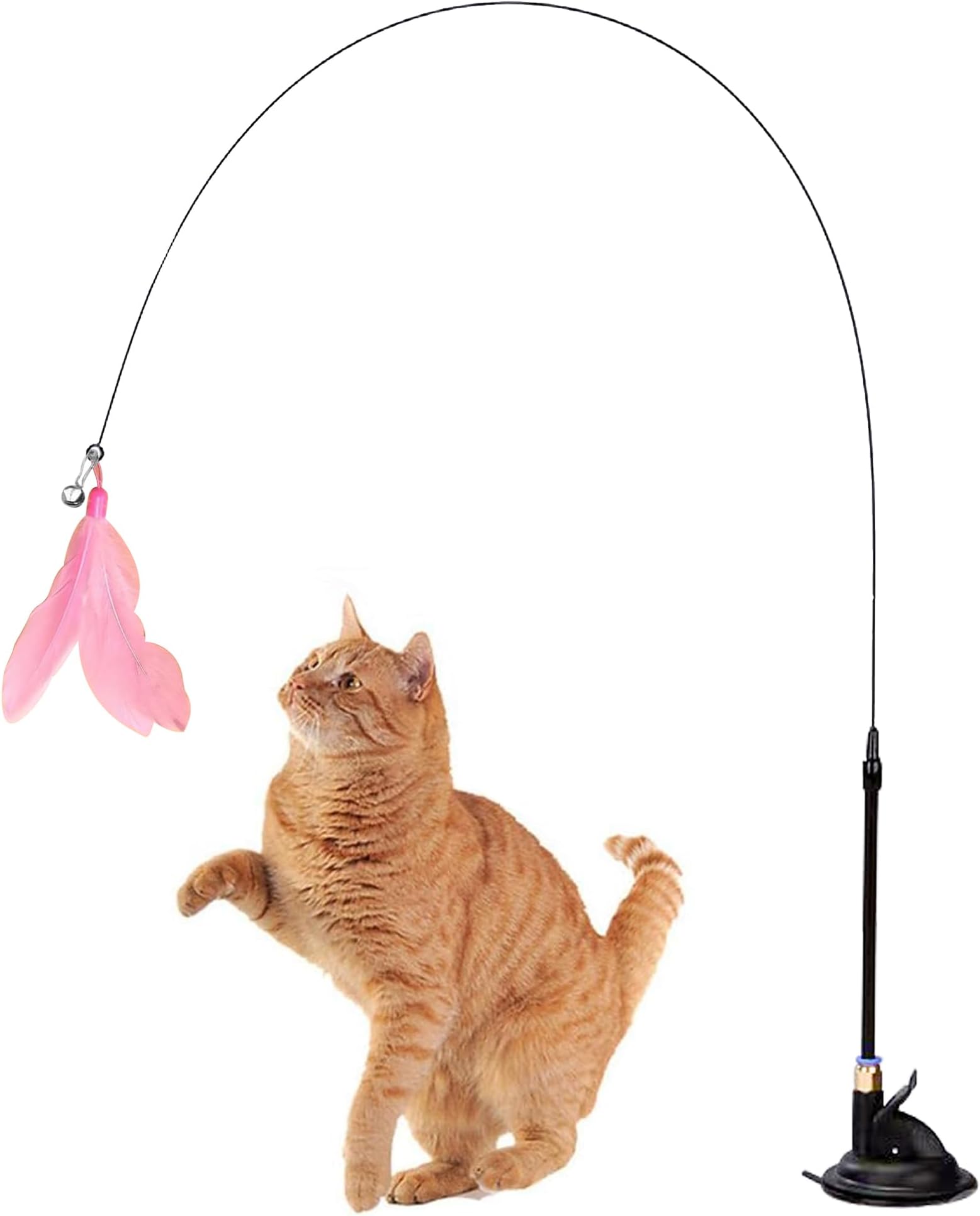 Homeaura Cat Teaser Toy with Bell and Suction Cup - Interactive Cat Toy for Kittens and Adult Cats - Indoor Play Toy for Persian Cats and Other Breeds (Feather and Elastic Toys)