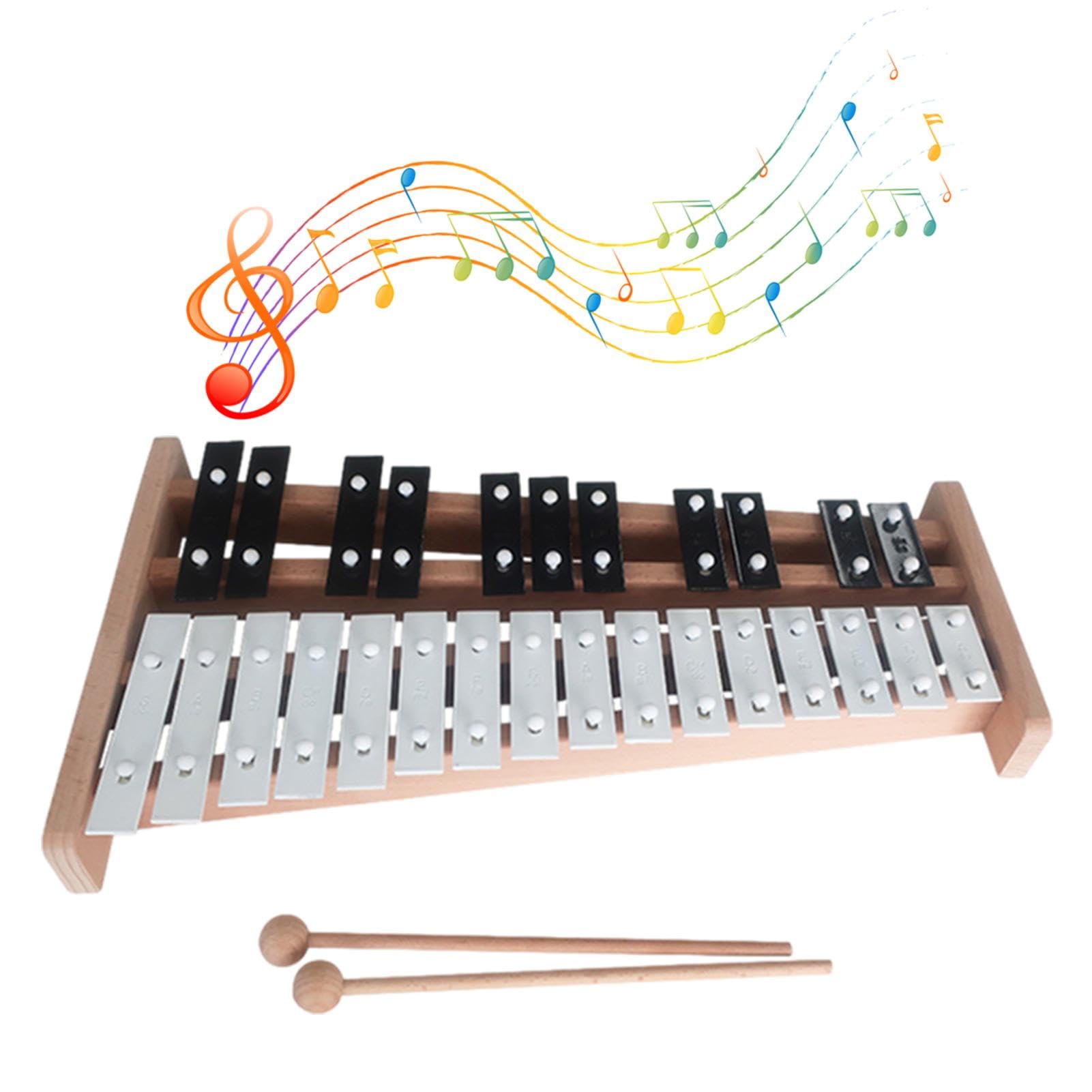 Générique Xylophone Professionnel | Instrument Glockenspiel Petit et Portable, Instrument Glockenspiel éducatif à 27 Notes, améliore la Coordination œil-Main