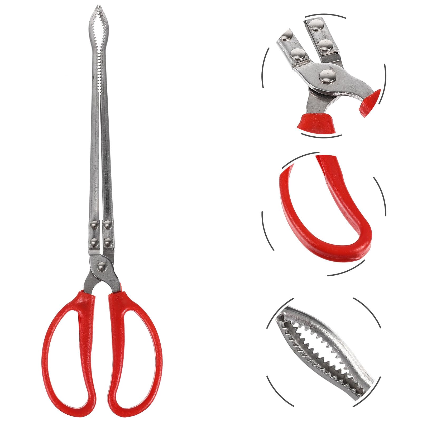Pinza para Cangrejos y Anguilas, Pinza Multifunción para Marisco, Acero Inoxidable Resistente al Desgaste, Ligera y Práctica Pesca Mar, Recolección Playa y Captura de Crustáceos
