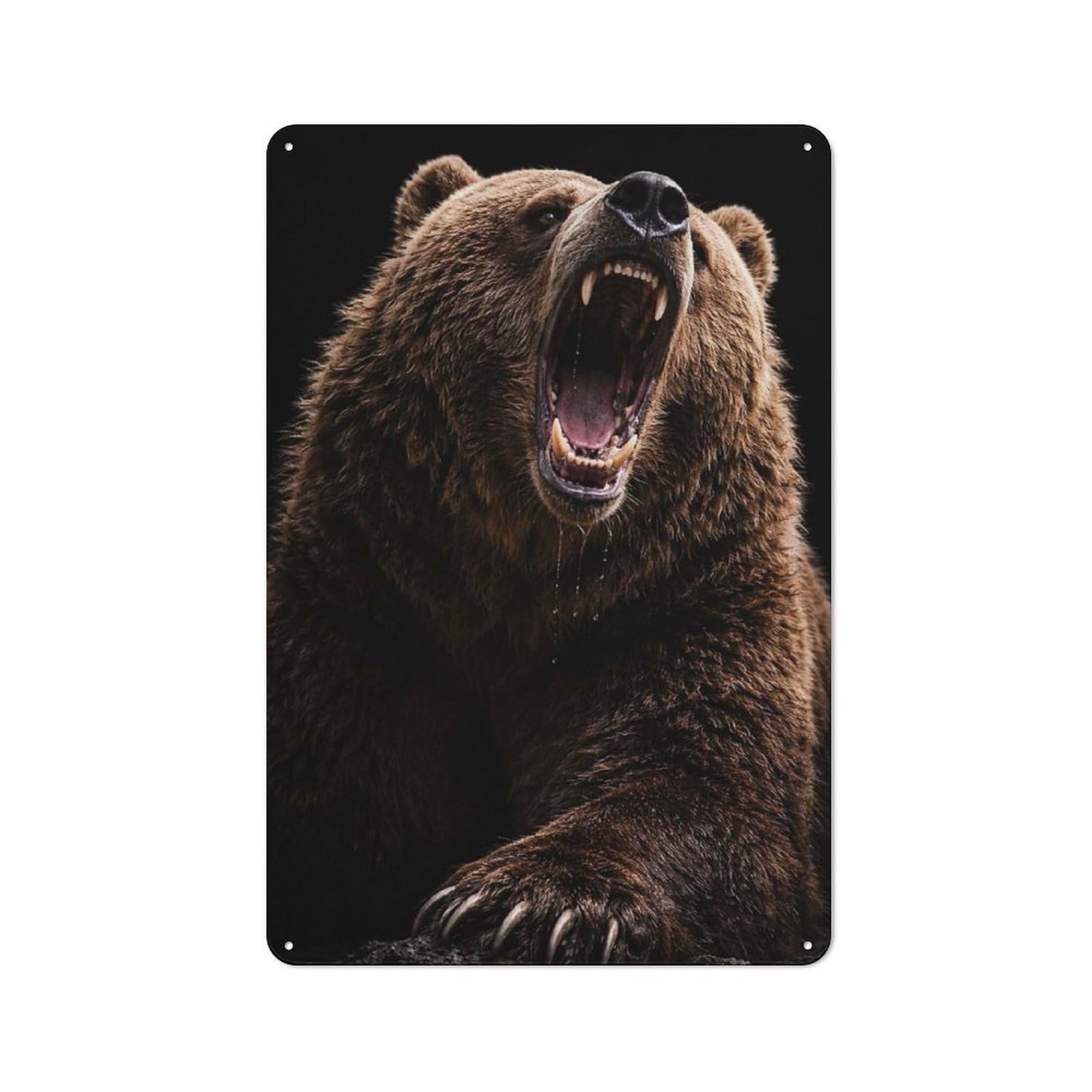 Tin Wall Plaque 30x20cm with Aggressive Grizzly Bear Roaring for Man Cave Or Games Room, for Updating Man Cave And Games Room after Moving