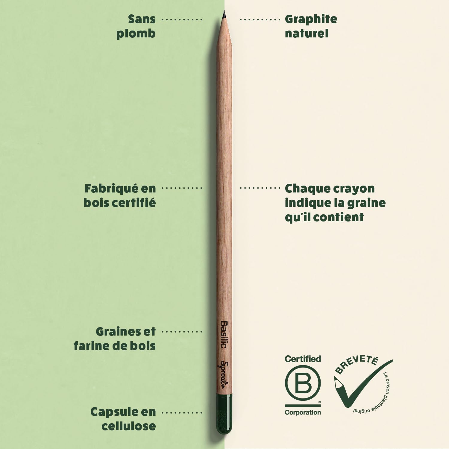 Sprout World Lápices | Bundle Edición Maestros + Original | Set de 40 Lápices de Grafito Plantables con Semillas de Flores, Hierbas y Vegetales | Madera Ecológica | Regalo Sostenible para Profesores
