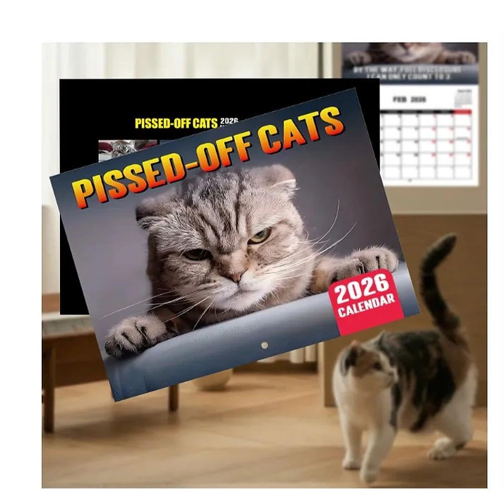 Katzenkalender 2026, Wütende Katze Lustiger