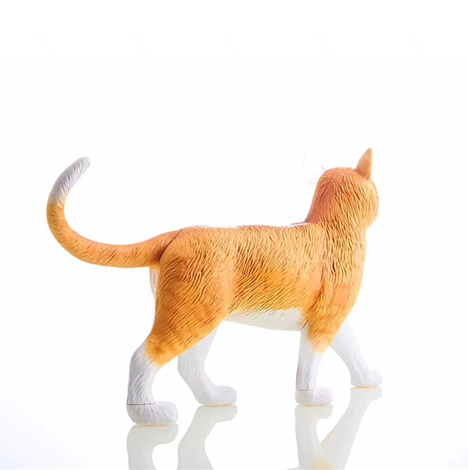 Modello Anatomico del Gatto 4D, Organi Rimovibili Modello Anatomico dello Scheletro del Gatto 28 Pezzi, Modello Medico del Gatto, per Gli Aiuti Didattici per L'educazione Medica