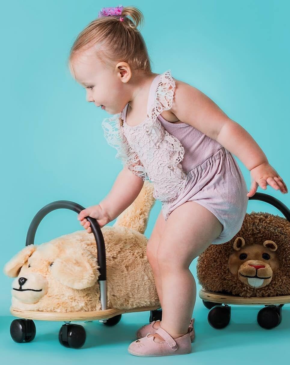 Wheelybug Drewniane zwierzątko do jazdy z wymienną pluszową osłoną, certyfikat bezpieczeństwa, zabawka rozwojowa, mały (1-3 lata), pluszowy pies