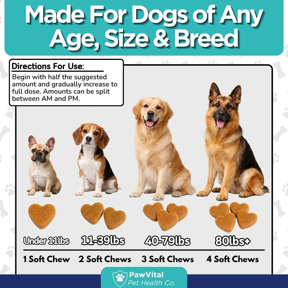 Dog Prenatal Vitamins for Pregnant & Nursing Dogs – 120 Soft Chews with Folic Acid, DHA, Choline, Iron & Calcium – Prenatal Multivitamin Supplement for Puppy Development, Pregnancy & Lactation Support — Amazon image 5