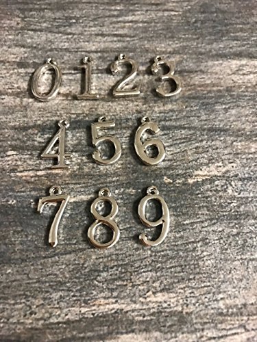 Personalized Lacrosse Keychain, Custom Lacrosse Gift, Girls Lax Jewelry, Lacrosse Player, Team and Coaches Gifts3