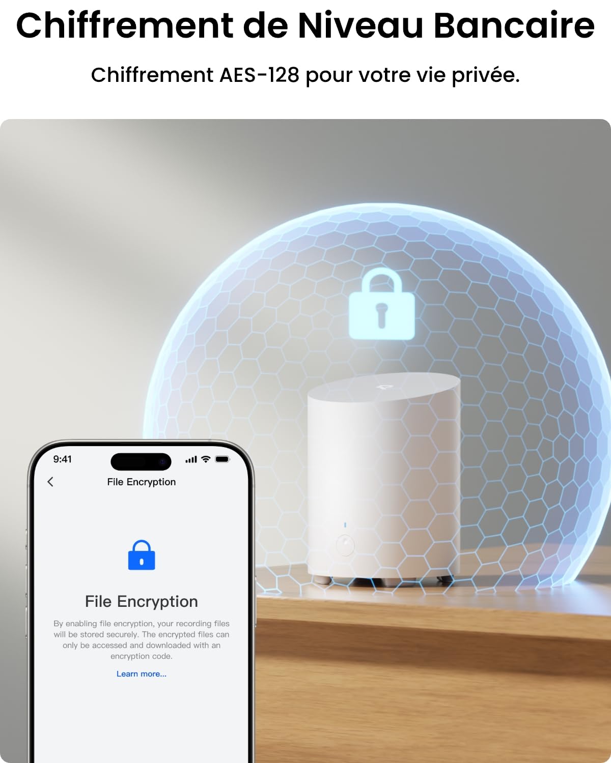 Reolink Kit Caméra Surveillance 2X 360° Pan&Tilt Caméra Solaire sans Fil 2K | Détection IA, Vision Nocturne, Stockage Local sans Abonnement, Jusqu'à 1 To, Home Hub Mini+Argus PT Lite+Panneau Solaire