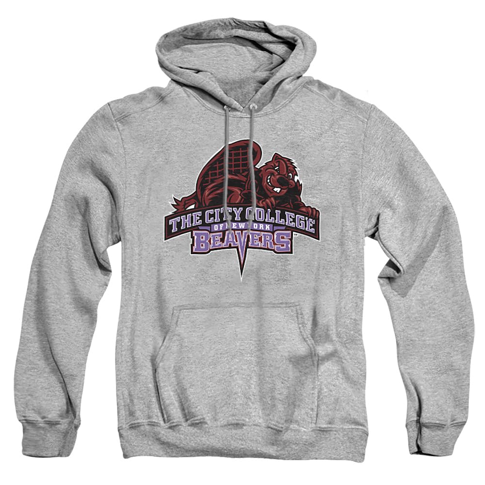 LOGOVISION Official Collegiate Distressed Primary Logo Adult Pullover Hoodie Collection — view 61