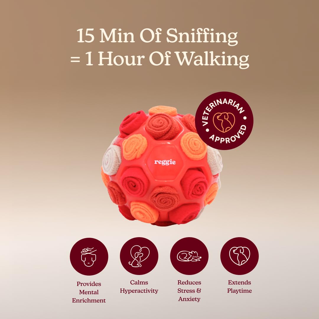 Reggie Pelota recolectora para perros, juguete interactivo dispensador de golosinas para estimulación mental, reduce el aburrimiento, el estrés y la hiperactividad, bola de enriquecimiento para perros