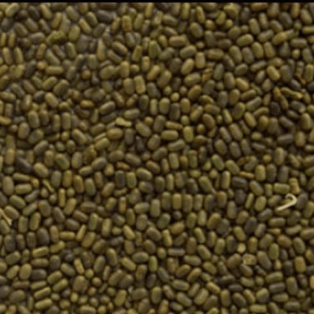 Sesbania (Dhaincha) Seeds | Green Manure Crop Seeds | Soil Fertility Improver | Nitrogen Fixing Plant for Farming & Agriculture | Fast Growing (20Kg)-image-13