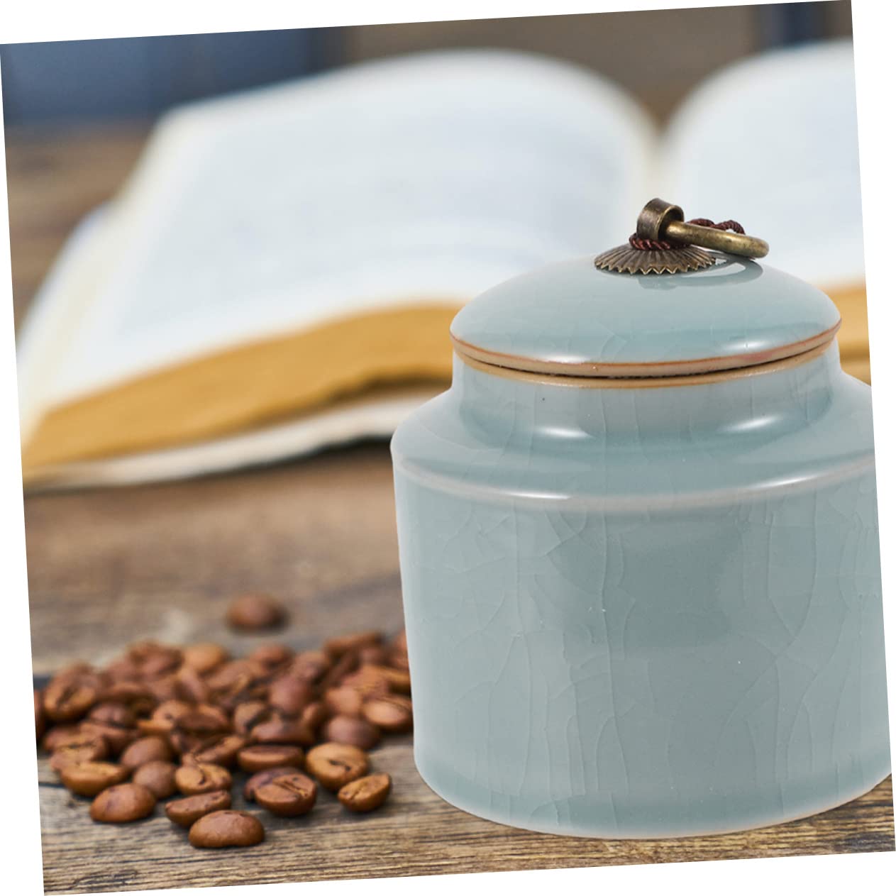 Gatuida 2 Pezzi Barattoli in Ceramica Sigillati per Conservazione Alimenti Grande Capacità e Protetti Dall’umidità, e Tè in Caffè e Negozi