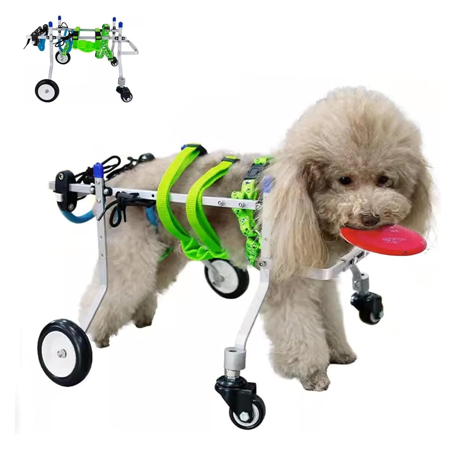Silla de ruedas ligera para perros con patas traseras lesionadas y soporte ajustable