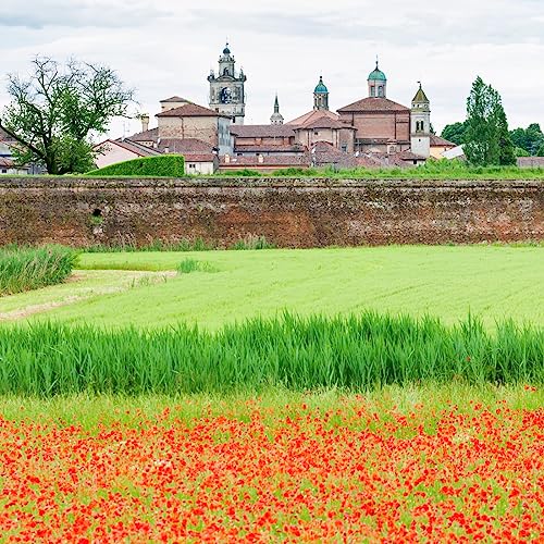 Couverture de Benvenuta Anna