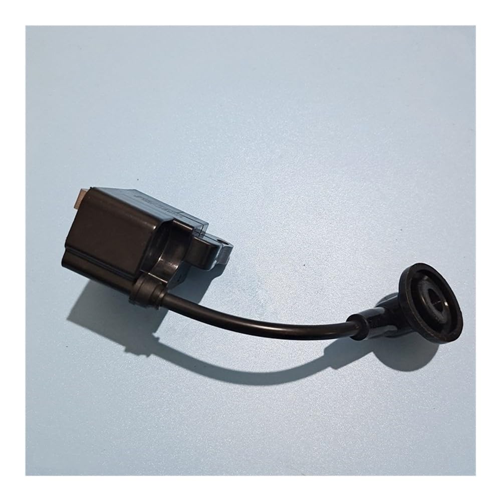 Bobine d'allumage KASEI 1E36F-2E 1E36F-2E.2 TLE33 KASEI CG330 BC330 débroussailleuse magnétor Stator bobine d'allumage électronique