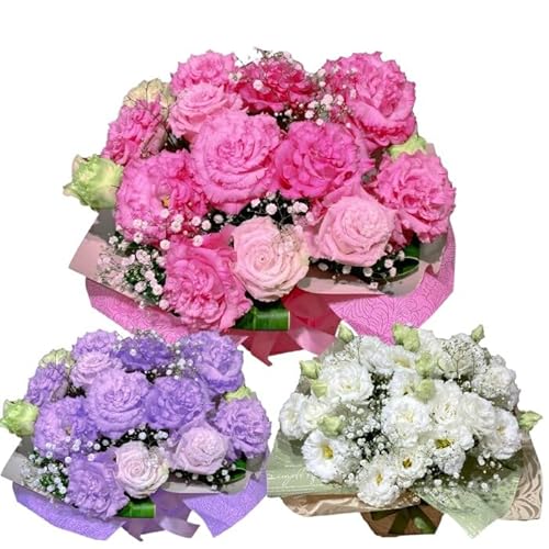 gRLLE AWg ݑ JX~ ݑ̃u[PgRo[Xf[t[ aԂg aԂ̐ԃu[P av[g   c ` j   a j t[ Mtg a  j җj aM