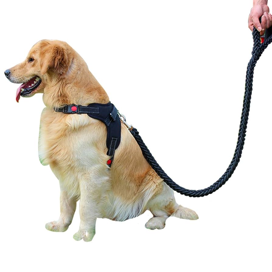 首輪・ハーネス・リード oto_okiku Amazon | OTOKU ハーネス リード付き 胴輪 首輪 犬 猫 小型 中型