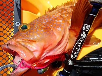 ツララ Amazon | ツララ ルーツ S68ML スピニング パックロッド TULALA