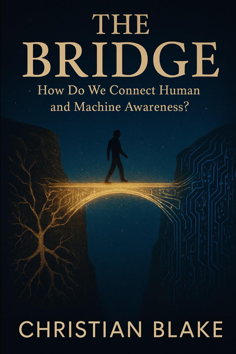 The Bridge: How Do We Connect Human and Machine Awareness? (The Soul Consciousness Series)