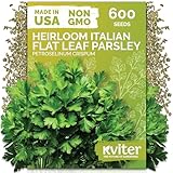 KVITER 600 Flat Leaf Italian Parsley Seeds (Petroselinum crispum) - Flavorful Classic Flat Leaf Parsley Seed Packets - Non GMO & Heirloom Seeds for Planting in Kitchen Herb Garden, Containers & Beds