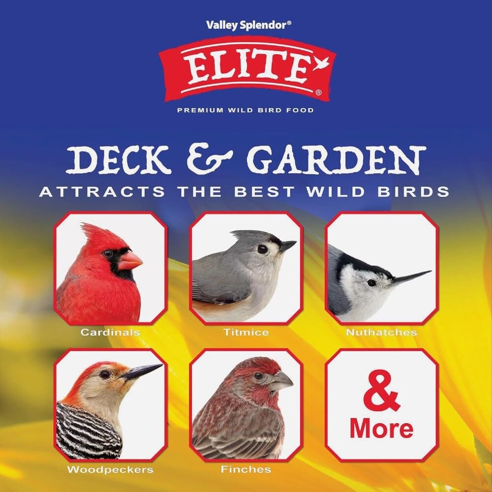 Deck i ogród, 5 funtów (9543)