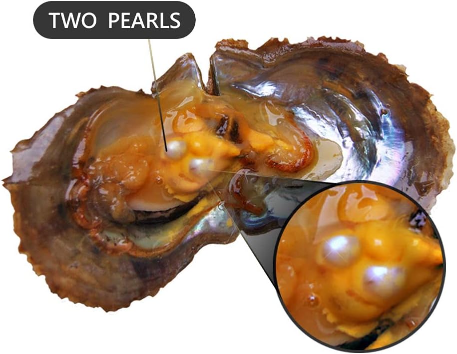 7-8mm Mixed Colored Akoya Saltwater Cultured Twins Pearl Oysters for DIY Jewelry Making, Pack of 5Pcs(White/Pink/Purple/Black)