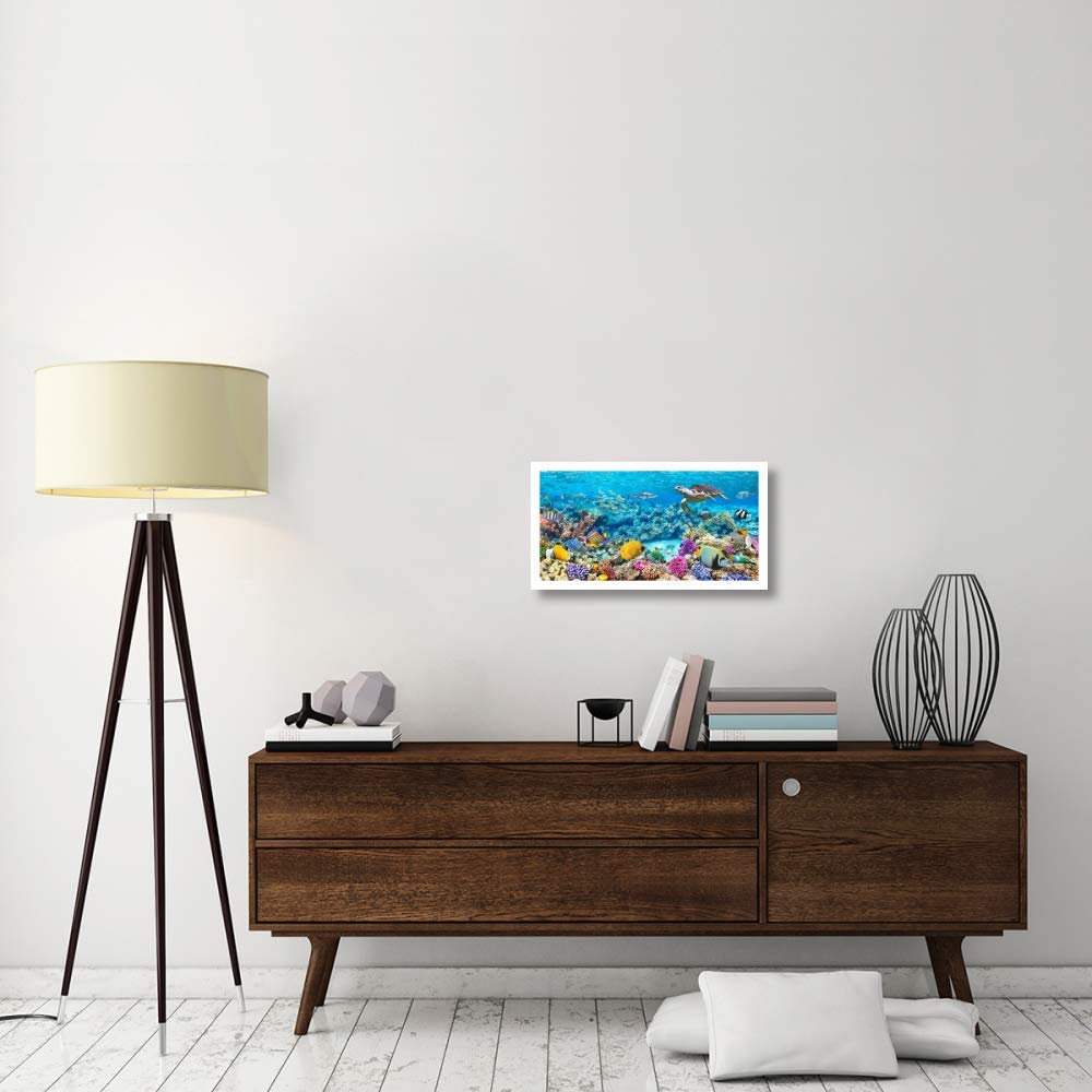 Amazon｜Global Gallery ウミガメと魚 モルディブサンゴ礁