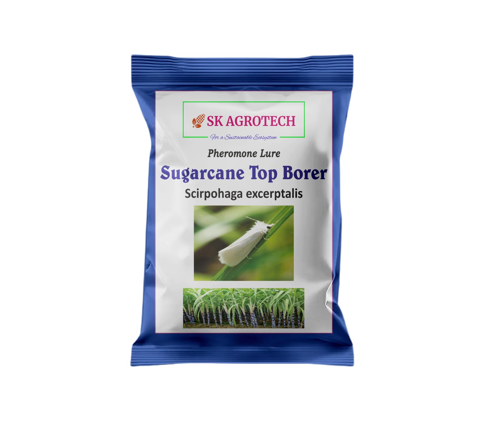 Pheromone Lure for Sugarcane Top Borer (Scirpophaga excerptalis) usded in Sugarcane Crop. (50)-image-35