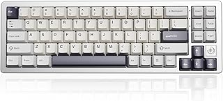 YUNZII AL71 68% Mechanical Keyboard, Full Aluminum CNC, Hot Swappable Gasket, 2.4GHz Wireless BT5.0/USB-C Wired Gaming Keyboard,NKRO Programmable RGB Backlight,for Win/Mac(Silver,Silent Switch)