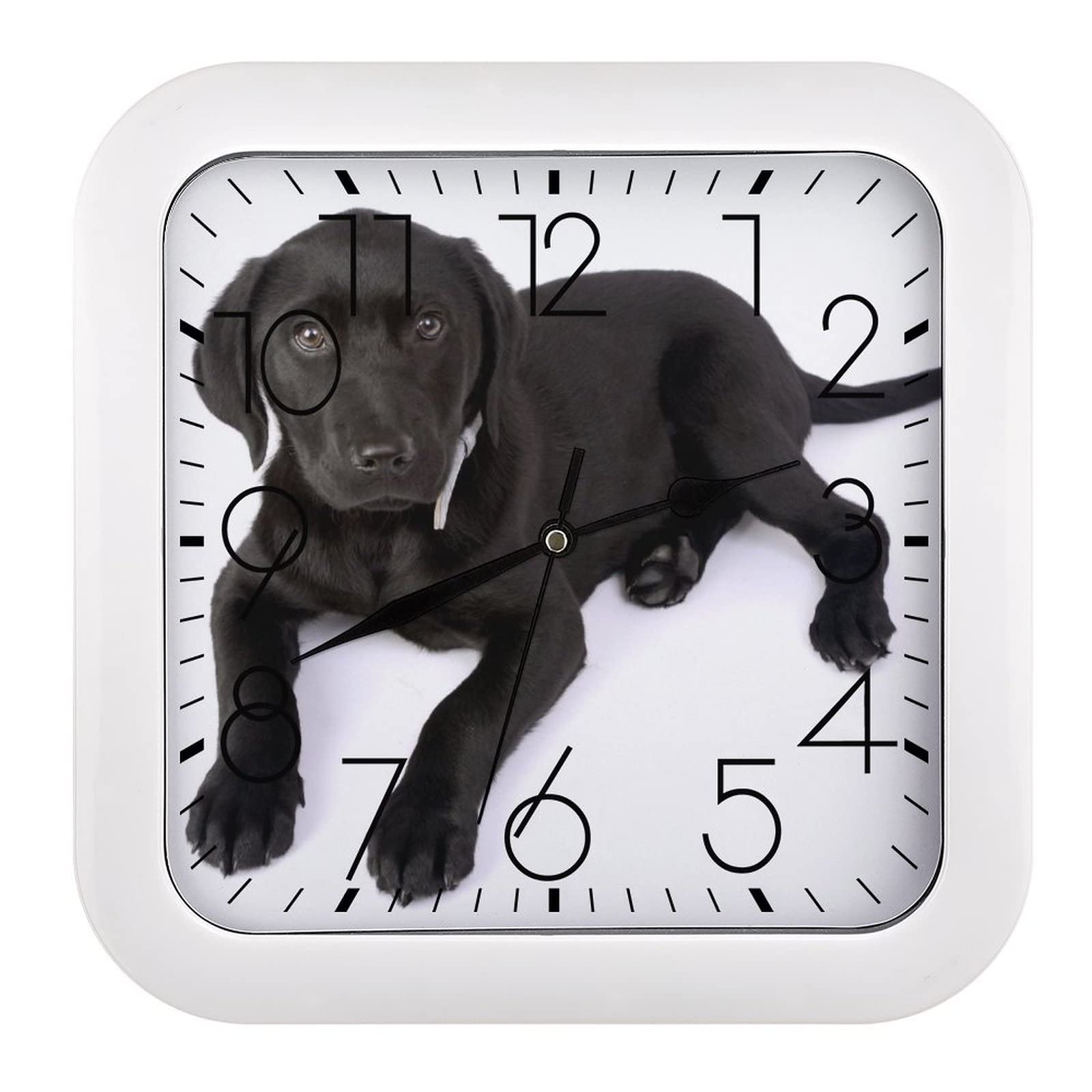 Horloge murale carrée Labrador noir 26x26cm à grands chiffres