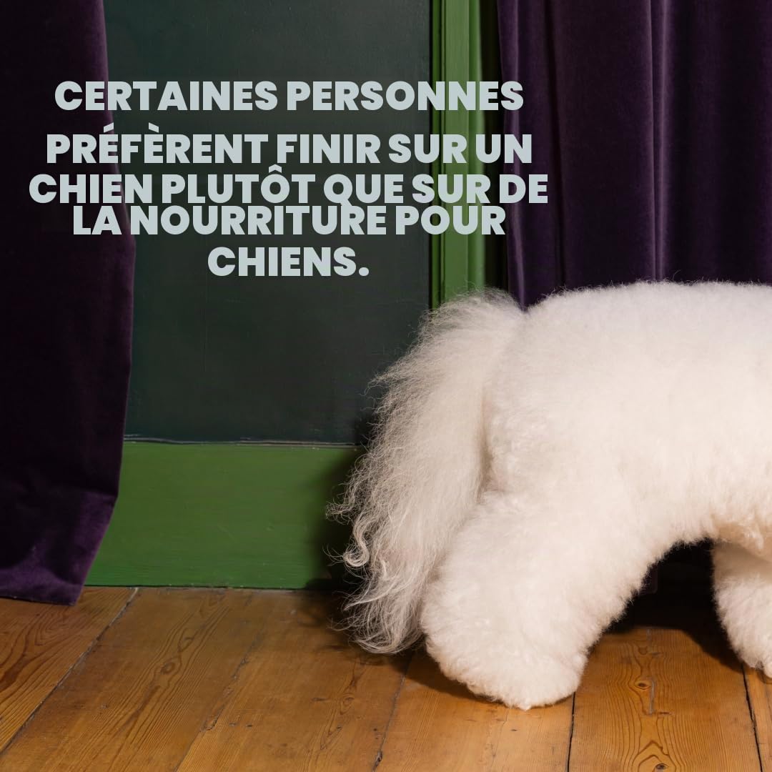 Edgard & Cooper Nourriture à base de plantes pour chiens adultes – Carotte et courgette, 7 kg – Fabriquée avec délicieusement Ella, protéines végétaliennes, ingrédients naturels et sans OGM, meilleure